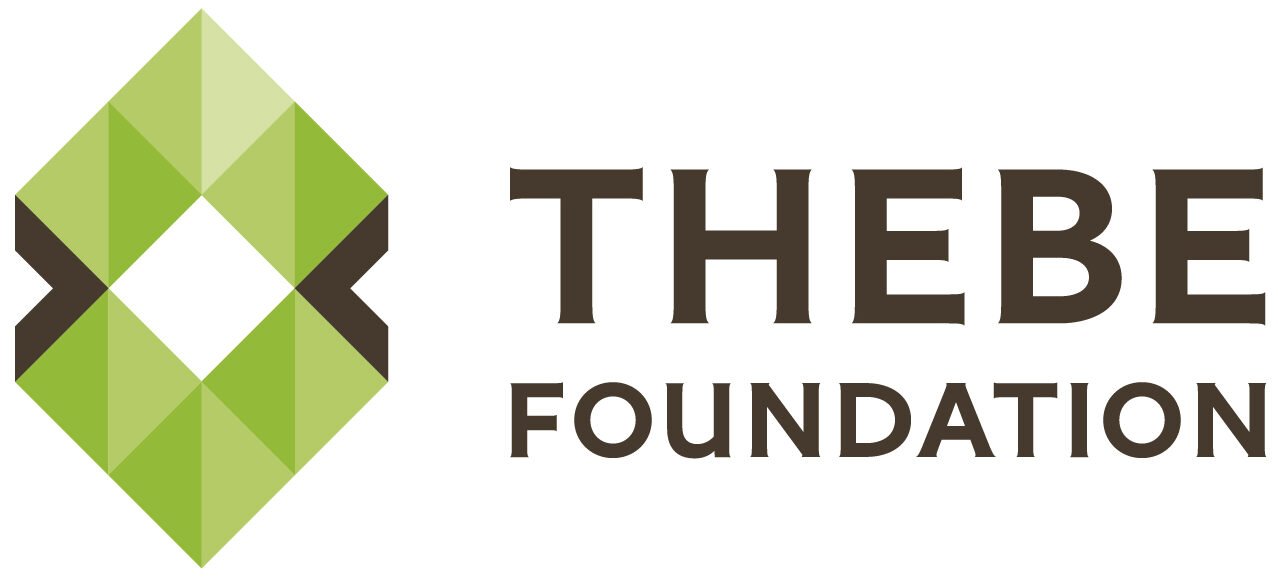 Home 138 8_Thebe-Foundation-logo