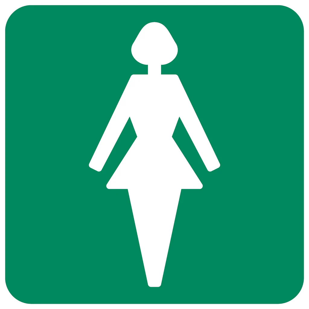 GA 10 - Ladies Toilet GA 10 - Ladies Toilet. Signs are manufactured to order, delivery in 7-10 business days. - Image 1